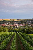 Blick über Weinberg zur Stadt mit ihren markanten Türmen, Ochsenfurt, Franken, Bayern, Deutschland