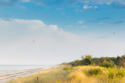 Coastal scenery, Marielyst, Falster, Denmark