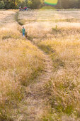 Boy (4 years) running on a path crossing a meadow, Marielyst, Falster, Denmark