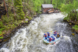 Rafting an der Stromschnelle Myllykoski, Fluss Kitkajoki, Nationalpark Oulanka, Nordösterbotten, Finnland