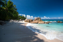 Sandy beach with palm trees, Sea kayak tour with catamaran as basecamp on the Seychelles, Indian Ocean
