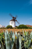 Windmill, museum Centro de Interpretacion de los Molinas, Antigua, Fuerteventura, Canary Islands, Spain