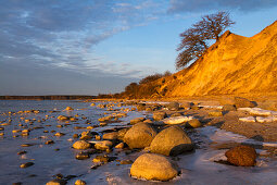 Naturschutzgebiet Halbinsel Devin, Strelasund, Ostsee, Stralsund Mecklenburg-Vorpommern, Deutschland