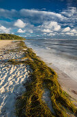 Beach at Falkenstein, Kiel Fjord, Baltic sea, Friedrichsort, Kiel, Schleswig-Holstein, Germany