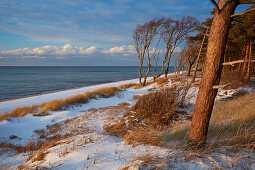 Winter on Weststrand beach, Darss, Western Pomerania Lagoon National Park, Baltic Sea, Mecklenburg Vorpommern, Germany
