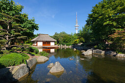 Teahouse in the japanese garden, television tower in the background, Planten un Blomen, Hamburg, Germany