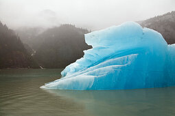iceberg in Endicott Arm, Inside Passage, Southeast Alaska, USA