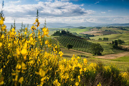 Landschaft bei San Quirico d'Orcia, Val d'Orcia, Provinz Siena, Toskana, Italien, UNESCO Welterbe