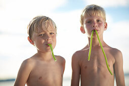 Two boys eating fruitgum sticks, lake Starnberg, Upper Bavaria, Bavaria, Germany