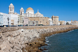 Quai and Cathedral in the historical town of Cadiz, Costa de la Luz, Cadiz Province, Andalusia, Spain, Europe