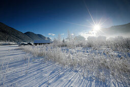 Winter scenery, Weissensee, Carinthia, Austria