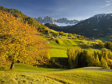 Villnösstal, Santa Maddalena, Geisler Spitzen, Gruppo delle Odle, Südtirol, Alto Adige, Dolomiten, Italien