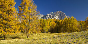 Monte Cristallo, Lärchen, Venetien, Dolomiten, Italien