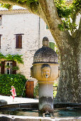 medieval fontain, Vaison-la-Romaine, Departement Vaucluse, Provence-Alpes-Cote d´Azur, Provence, France