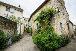 House in Grignan, Departement Drome, Region Rhones-Alpes, Provence, France