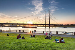 Sunset at the Rhine meadows, Duesseldorf, North Rhine Westphalia, Germany