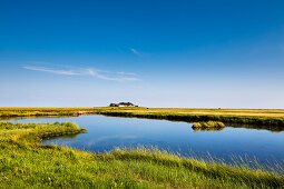 Salt marsh and dwelling mound, Hallig Langeness, North Frisian Islands, Schleswig-Holstein, Germany
