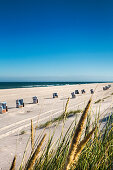 Beach chairs and dunes, Sylt Island, North Frisian Islands, Schleswig-Holstein, Germany