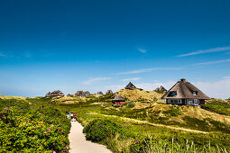 Thatched houses in the dunes, Hoernum, Sylt Island, North Frisian Islands, Schleswig-Holstein, Germany