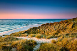 Dunes, Ellenbogen, Sylt Island, North Frisian Islands, Schleswig-Holstein, Germany