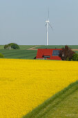 Wind turbines, house with solar cells, photovoltaic cells, rapeseed field, bio-energy, renewable energy, near Gunzenhausen, Mittelfranken, Lower Franconia, Franconia, Bavaria, Germany, Europe