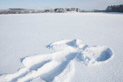 Snow angel in fresh winter snow in a winter wonderland landscape, Voehl, Hesse, Germany, Europe