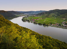 Blick von der Ferdinandswarte Richtung Oberloiben, Rossatz, Dürnstein, Donau, Wachau, Niederösterreich, Österreich