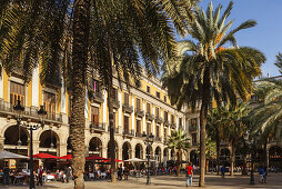 Placa Reial, Platz mit Palmen, Barri Gotic, gotisches Viertel, Ciutat Vella, Altstadt, Barcelona, Katalonien, Spanien, Europa