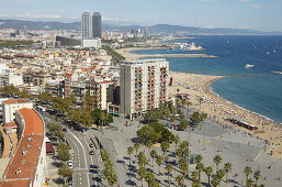 Placa del Mar mit Palmen, Platja de Barceloneta, Strand, Arts Hotel and Torre Mapfre im Hintergrund, Stadtviertel Barceloneta, Barcelona, Katalonien, Spanien, Europa
