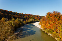 Isar river and Isar valley in Autumn, Indian summer, beech trees and gravel banks near Gruenwald, district Munich, Bavarian alpine foreland, Upper Bavaria, Bavaria, Germany, Europe