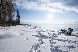 winter view over lake Bodensee at Immenstaad, lake Bodensee, Baden-Wuerttemberg, south Germany, Germany
