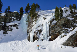 Woman back-country skiing passing icefall, Monte Cevedale, valley of Martell, Ortler range, South Tyrol, Italy