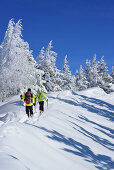 Zwei Personen auf Skitour steigen durch Winterwald zur Hochries auf, Hochries, Samerberg, Chiemgauer Alpen, Chiemgau, Oberbayern, Bayern, Deutschland