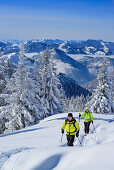 Zwei Personen auf Skitour steigen durch Winterwald zur Hochries auf, Mangfallgebirge im Hintergrund, Hochries, Samerberg, Chiemgauer Alpen, Chiemgau, Oberbayern, Bayern, Deutschland