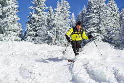 Mann auf Skitour fährt durch Winterwald ab, Sonntagshorn, Chiemgauer Alpen, Salzburg, Österreich