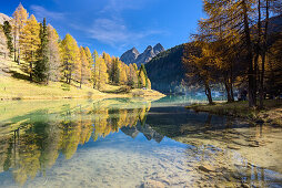 Golden larches at lake Palpuogna (1918 m) with Piz da la Blais (2930 m), Grisons, Switzerland