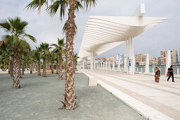 Palm trees and modern architecture in Malaga harbour, Malaga, Andalusia, Spain