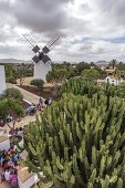 Restaurierte Mühle von Antigua, Fuerteventura, Kanaren, Spanien