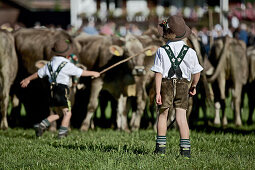Jungen in Tracht auf einer Wiese helfen beim Viehscheid, Allgäu, Bayern, Deutschland
