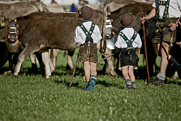 Jungen in Tracht auf einer Wiese beim Viehscheid, Allgäu, Bayern, Deutschland
