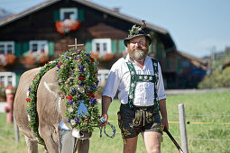 Mann in Tracht mit einer geschmückten Kuh beim Viehscheid, Allgäu, Bayern, Deutschland