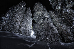 Skifahrer springt über einen Felsen im Wald bei Nacht, Sutiben, Bayern, Deutschland