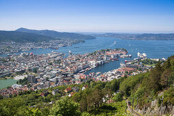 Blick vom Berg Floyen auf Stadt und Hafen, Bergen, Hordaland, Norwegen, Europa