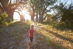 Family walking through Baobab trees at sunset, Tutume, Nxai Pan National Park, Botswana