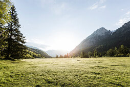 meadow in Falzthurn valley, Karwendel mountains, Pertisau, Tirol, Austria