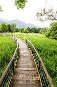 Holzsteg im Schilf, Idrosee, Baitoni, Trentino, Italien