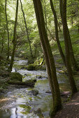 Ehrbachklamm, Rhein-Hunsrück Kreis, Hunsrück, Rheinland-Pfalz, Deutschland, Europa