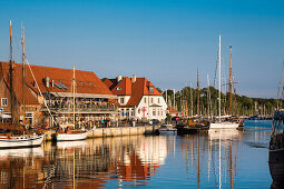 Hafen mit Traditionsseglern, Neustadt, Lübecker Bucht, Ostsee, Schleswig-Holstein, Deutschland