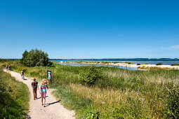 Cycle path along Kiel fjord, Laboe, Baltic Coast, Schleswig-Holstein, Germany