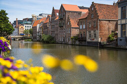 Blick durch Blumen auf Ausflugsboot auf einem Kanal, Gent, Flandern, Belgien, Europa